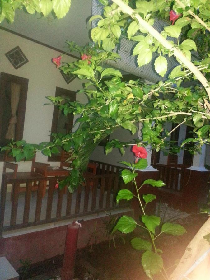 Family Bungalow 길리메노 외부 사진